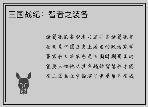 三国战纪：智者之装备