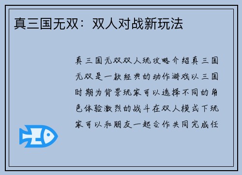 真三国无双：双人对战新玩法